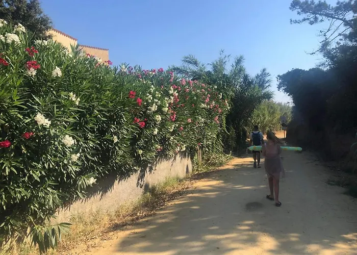 La Corse Tranquille 300M De La Plage Et Piscine