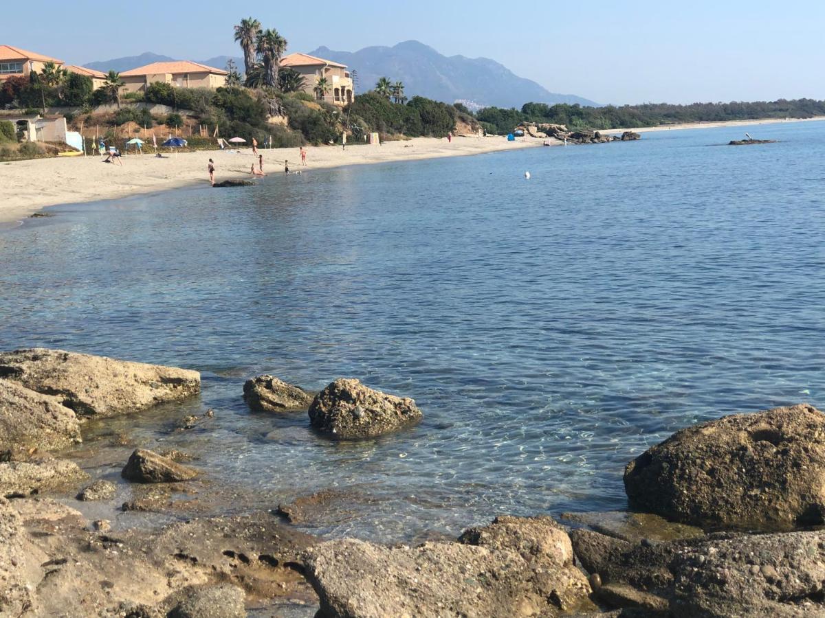 Apartamento La Corse Tranquille 300m De La Et Piscine *